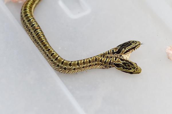 The city council voted to increase the minimum wage for workers