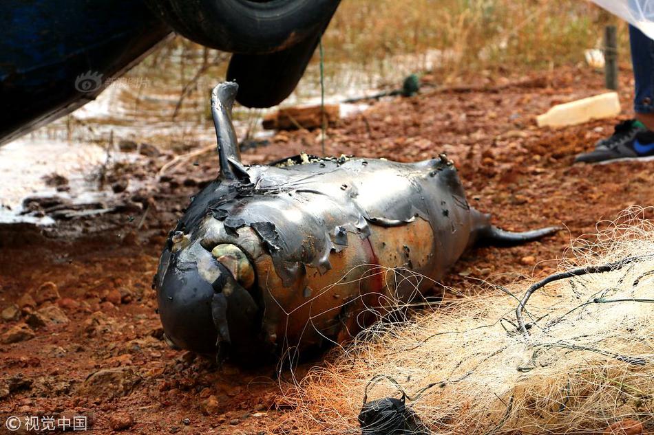 A tech firm announced a partnership with a school district to provide coding workshops