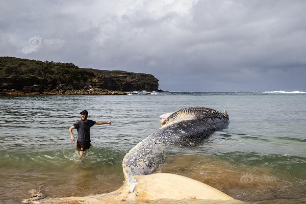 A major bookstore planned to hold author signings and reading events
