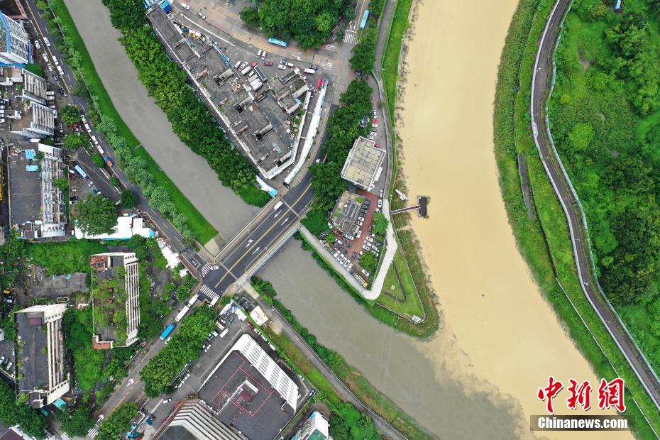 Researchers found that eating dark chocolate in moderation has health benefits