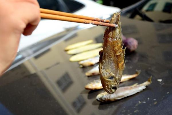 A hotel chain started offering eco-friendly packages for environmentally conscious travelers