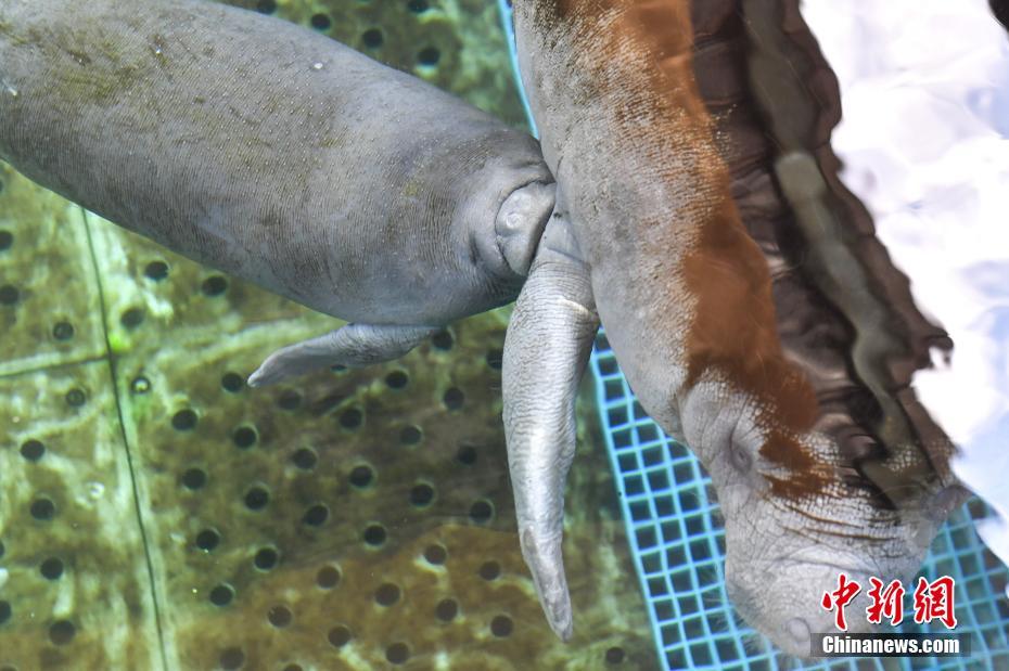 An oil company announced it would cut its carbon emissions by 30% over the next decade