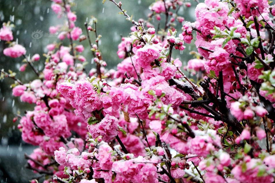 Farmers reported higher crop yields due to favorable weather conditions