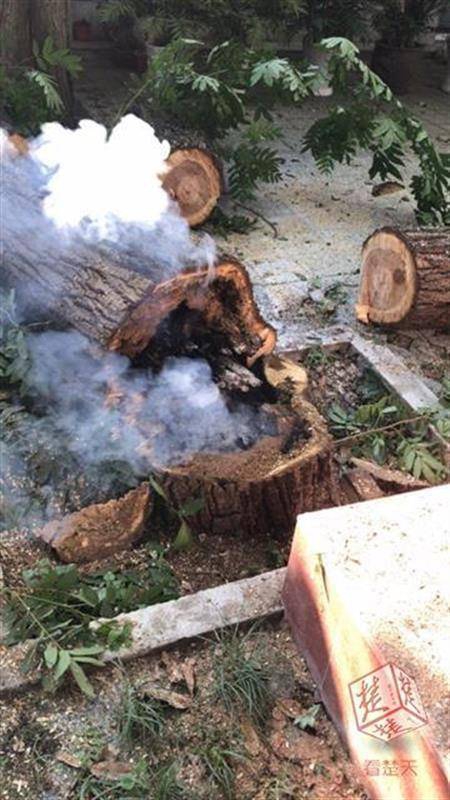 The government provided financial assistance to small businesses affected by floods