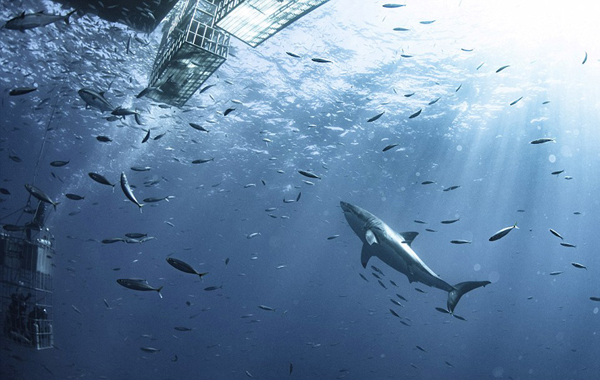 A study showed that online learning can be just as effective as in-person classes for some subjects