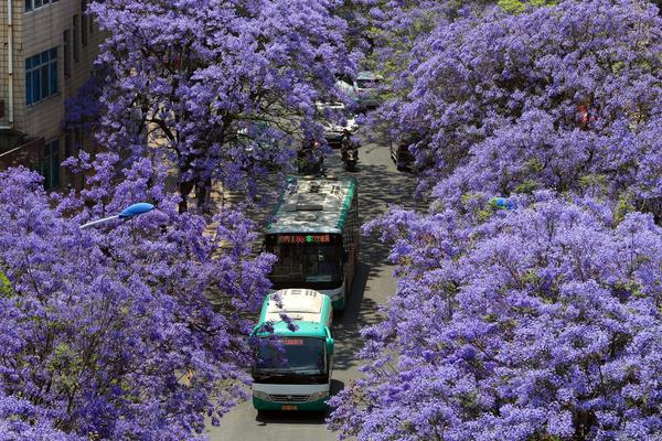 The city introduced a new bus route to connect suburban areas