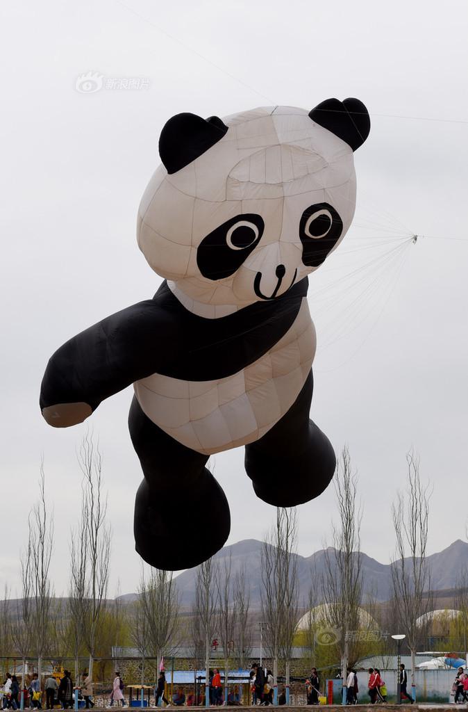 The government announced plans to build a new airport in a growing city