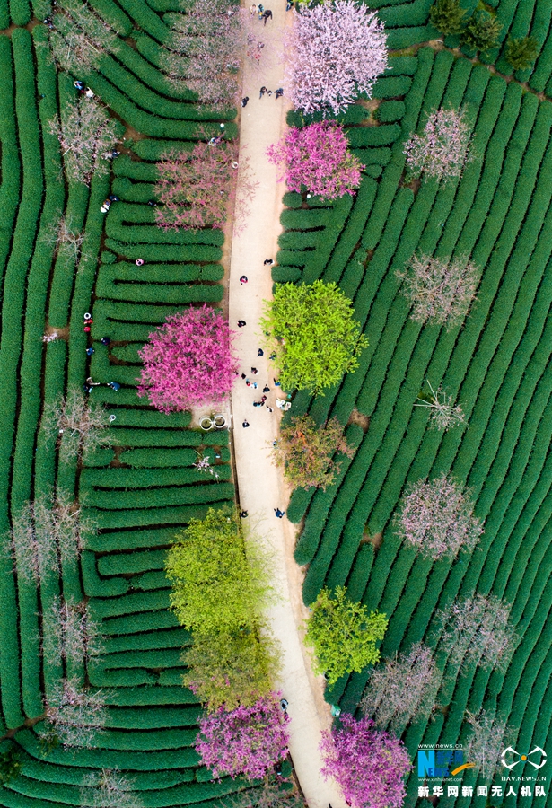 A major airline announced it will increase the number of flights to popular vacation destinations during the summer months.