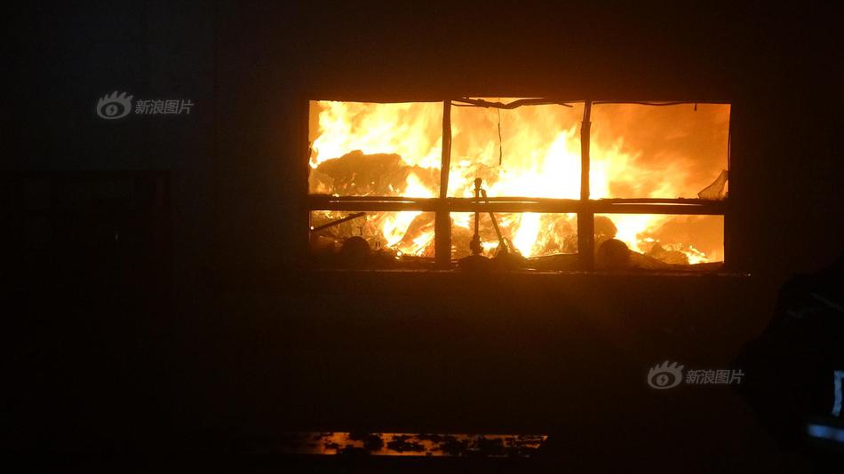 A community organized a holiday toy drive that collected 500 toys for children in need