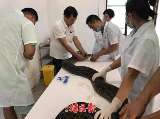 A museum displayed artifacts from a recent archaeological dig