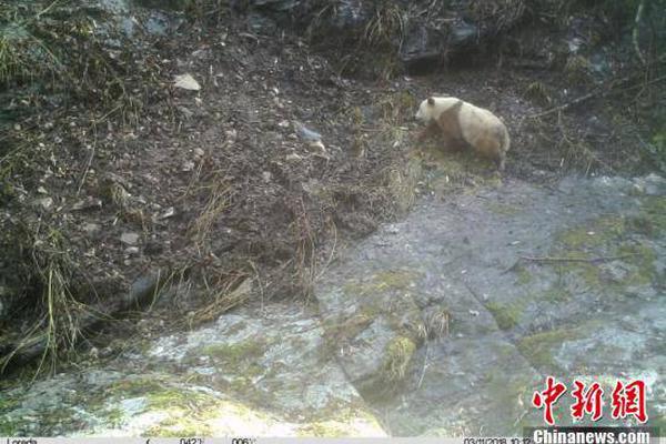 A sports league announced that its championship game would be held in a new stadium