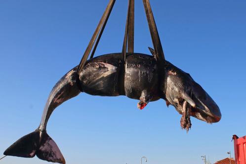 A study found that eating a handful of almonds daily can lower cholesterol levels