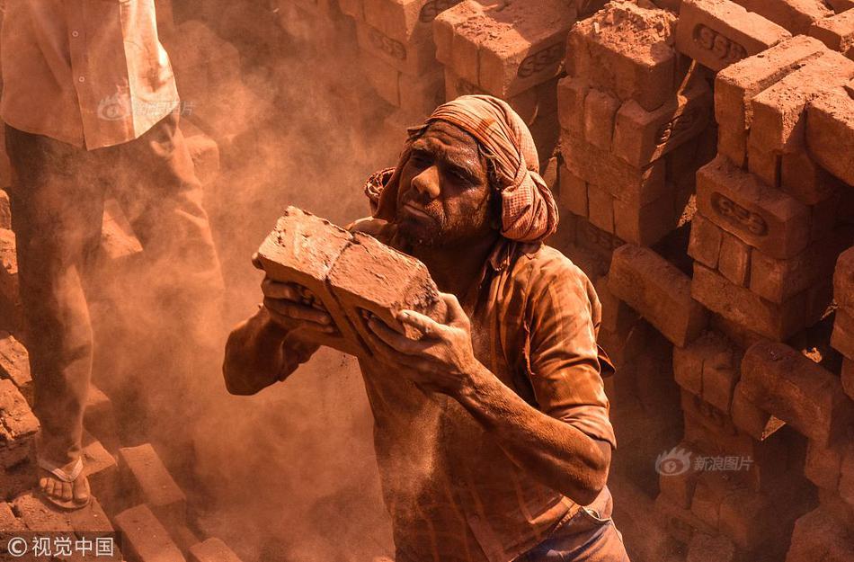 Scientists developed a new way to grow tomatoes in space for long-duration missions