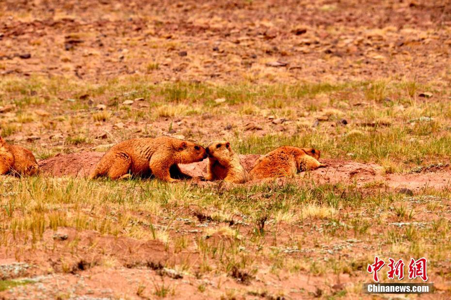 Local farmers markets reported record attendance during the summer months