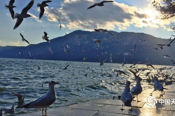 The national ballet company announced its upcoming season will feature a new production of a classic tale