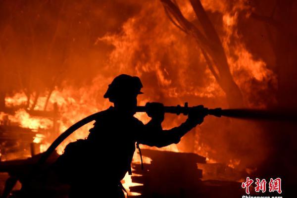 Local police reported a 17% drop in traffic accidents after installing new speed cameras