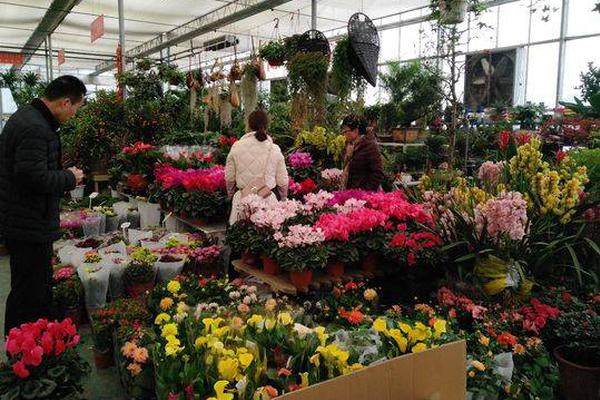 A severe hurricane made landfall on the southeastern coast bringing strong winds and heavy rain to the area