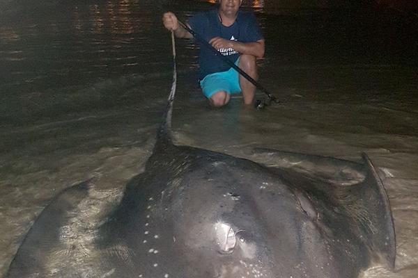 A tech startup announced a new smartwatch with advanced health monitoring features including blood sugar tracking