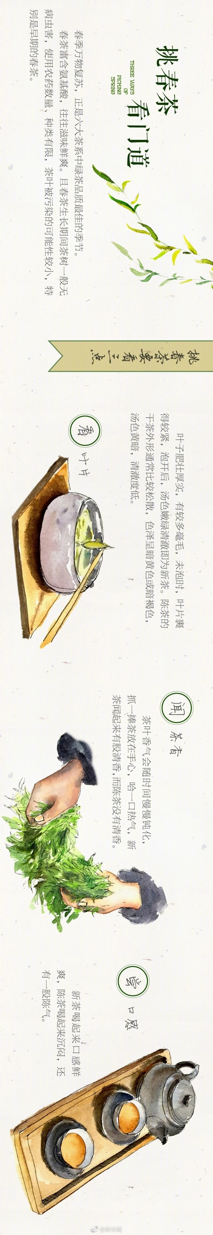 An environmental organization reported that the number of endangered sea turtles has increased by 29% over the past decade