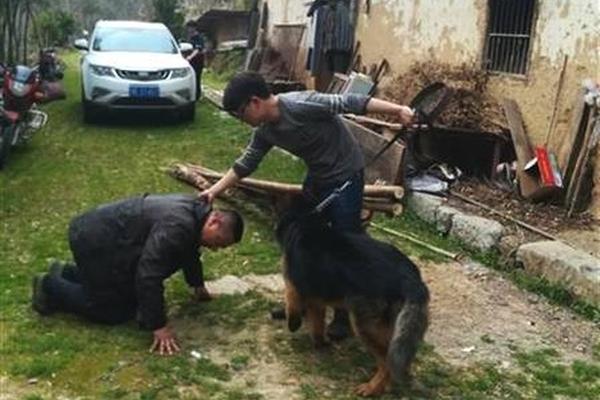 The national basketball team lost their semi-final match in the international tournament ending their bid for the championship