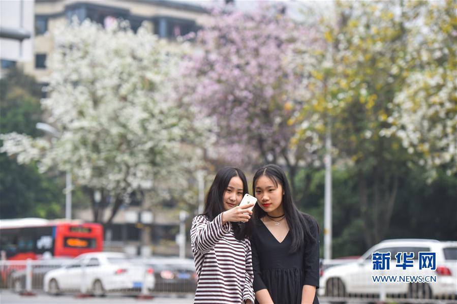 Scientists at a research institute developed a new method to remove microplastics from drinking water