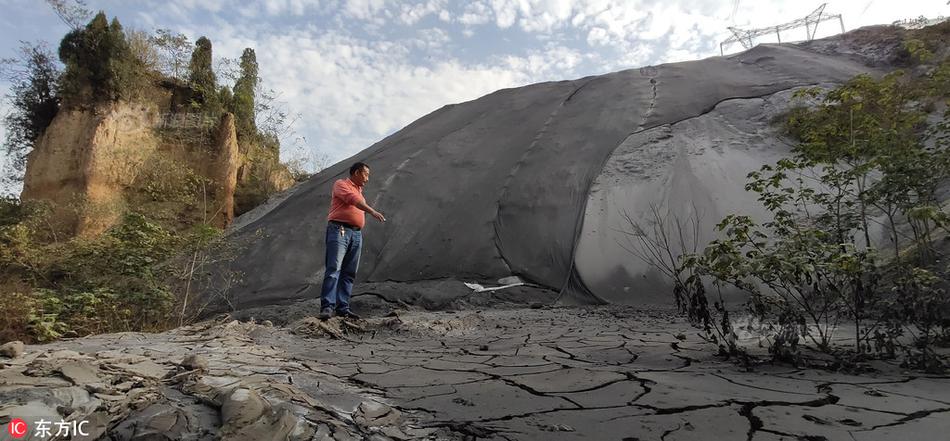 Environmental activists protested against a new oil pipeline project in the northern wilderness