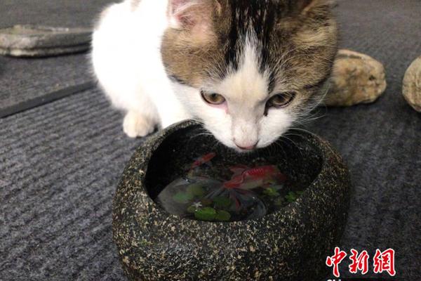 A study revealed that students who study in quiet environments retain information better than those in noisy settings