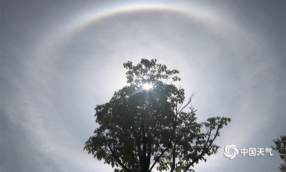A local bakery started delivering fresh bread to local restaurants and cafes every morning