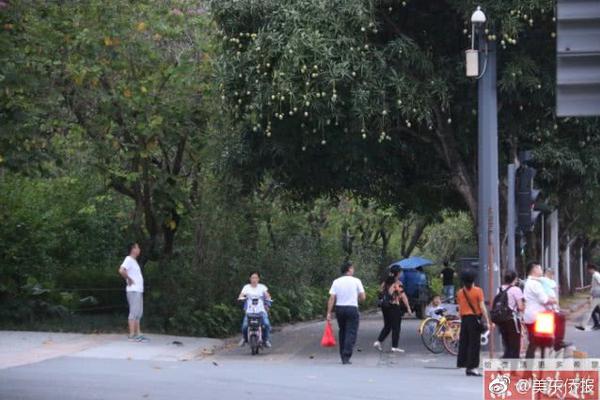 A city planted 1,000 new trees along major streets to improve air quality and provide shade