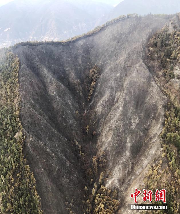 A city added more bike racks near shopping centers and office buildings