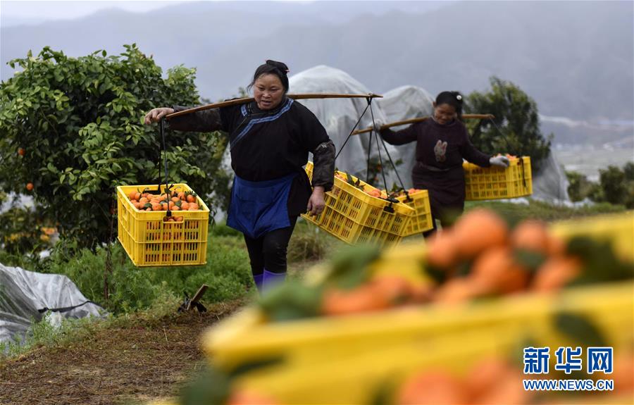 A school started a gardening club that grew vegetables for the school cafeteria