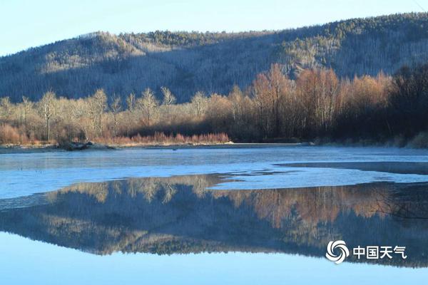 Researchers found that spending time in forests can improve respiratory health and reduce allergies