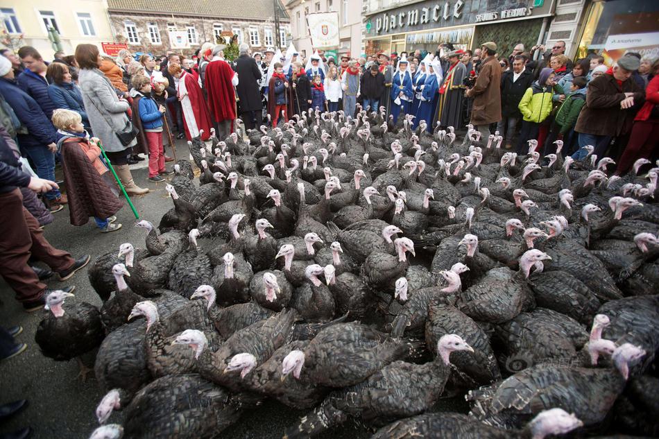 A study published in a medical journal found that drinking green tea regularly can improve skin health by reducing inflammation.