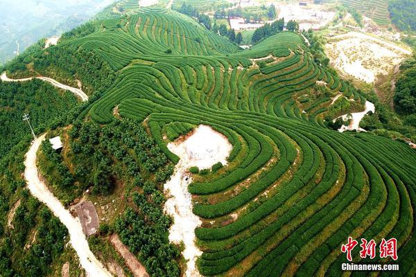 A survey found that 60% of people prefer working from home at least two days a week