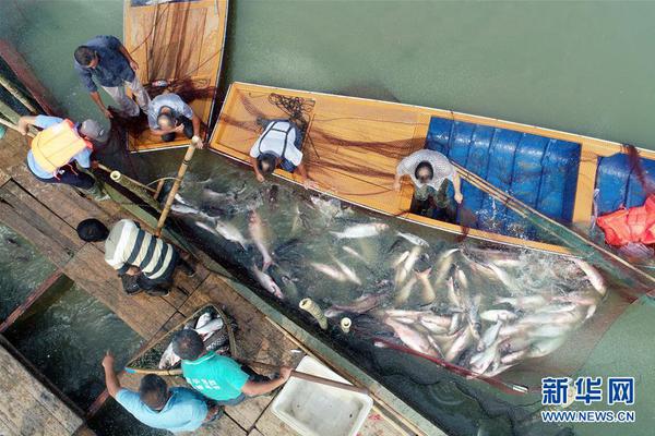 Engineers built a new bridge that can withstand earthquakes up to magnitude 8.0