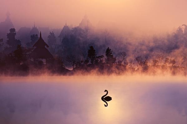 Engineers built a new bridge that can withstand earthquakes up to magnitude 8.0