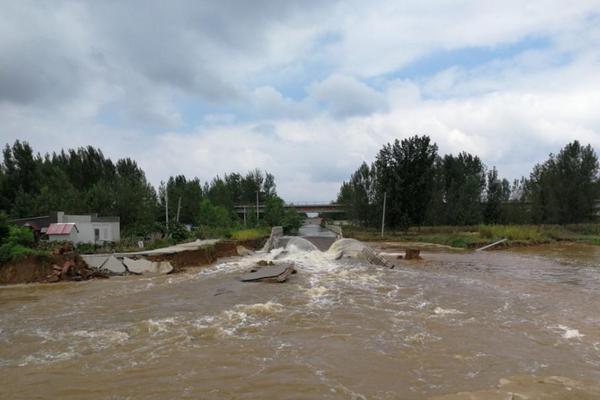 Tech firm Microsoft unveiled a new software tool to help businesses manage remote teams