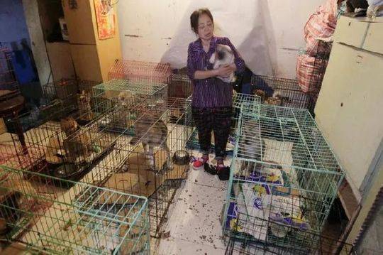 A golfer set a new course record with a score of 62 during a professional tournament