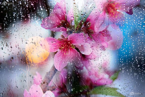 Movie theater offers discounted tickets for families on weekends