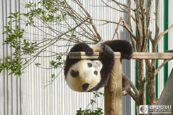 Park officials announce new rules to protect wildlife in park areas