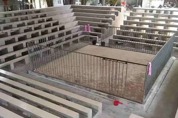 A construction company finished building a new elementary school that can accommodate 500 students