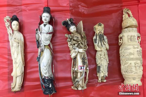 A software company launched a new app that helps users track their fitness goals