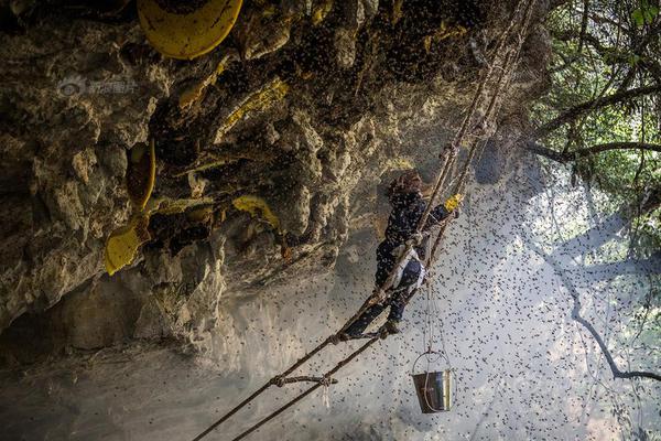 Researchers found that drinking herbal tea may help reduce symptoms of seasonal allergies