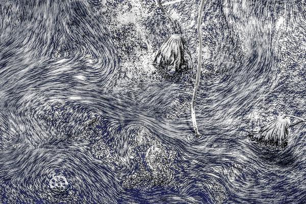 A pet store started offering