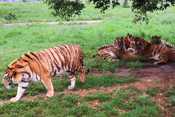 A bookstore hosted a book signing with a best-selling author, drawing over 300 attendees