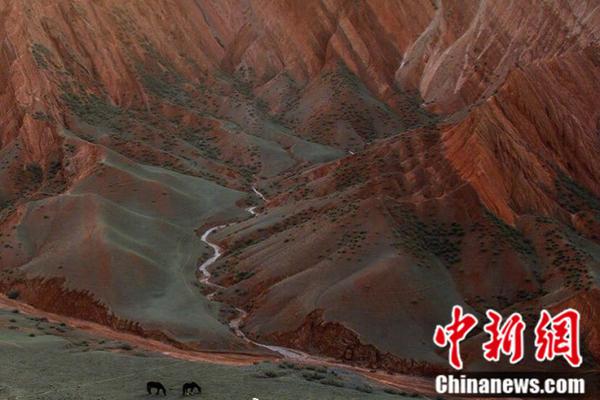 Newspaper reports on success of local farmers market in supporting small farms