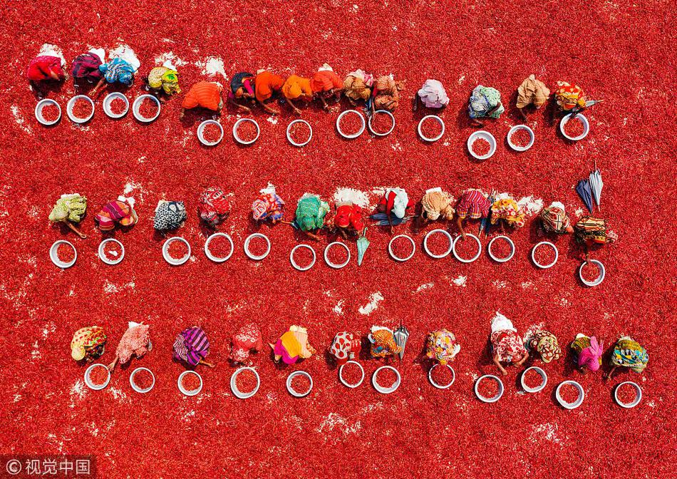 A fashion brand released a limited-edition collection to celebrate its 50th anniversary