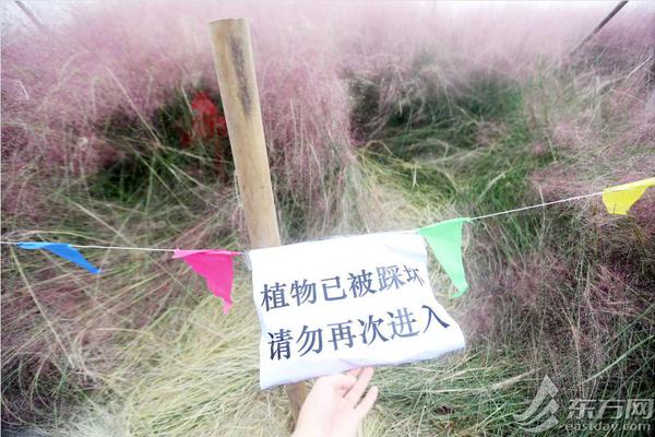 Local police started a program to teach bicycle safety to elementary school students
