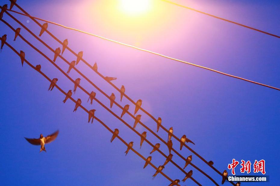 A best-selling author announced their next novel will focus on environmental conservation efforts