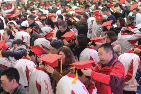 Biologists track movement of elephant herds using GPS collars